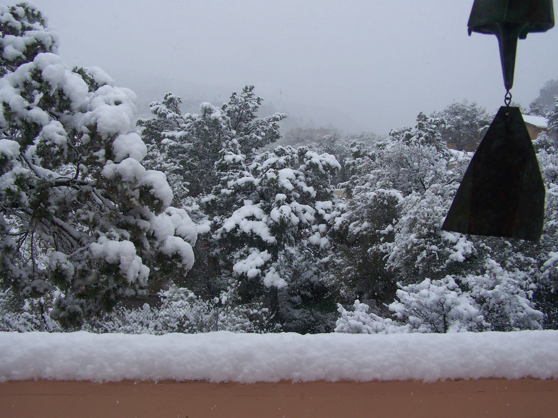 Good Herbal Choices In January