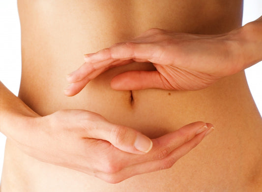 Aging Starts In The Digestive System