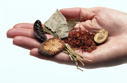 Medicinal Herbs and Spices - Herbstop