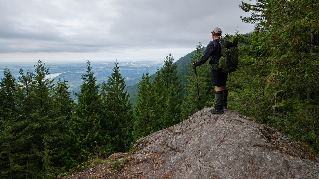 Man hiking standing on mountain with trees