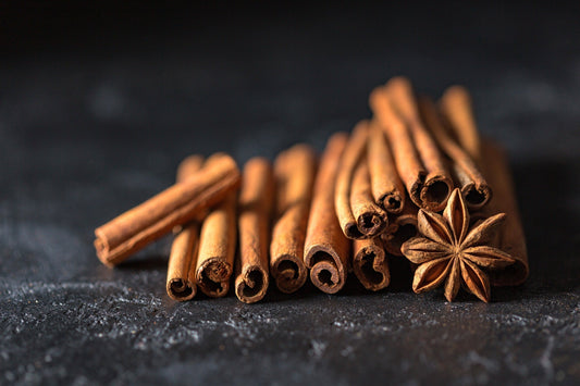 Cinnamon sticks on a dark background
