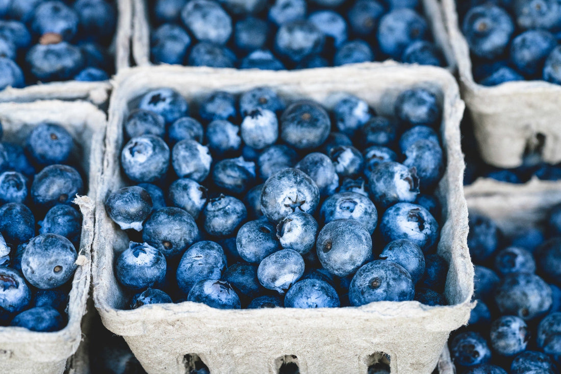 Fresh Blueberries