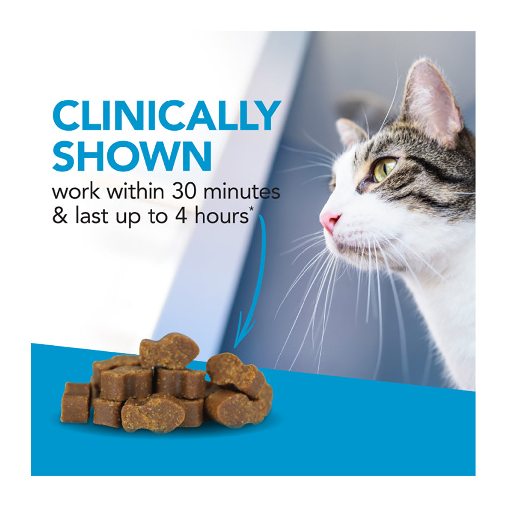 Composure Calming Treats for Cats