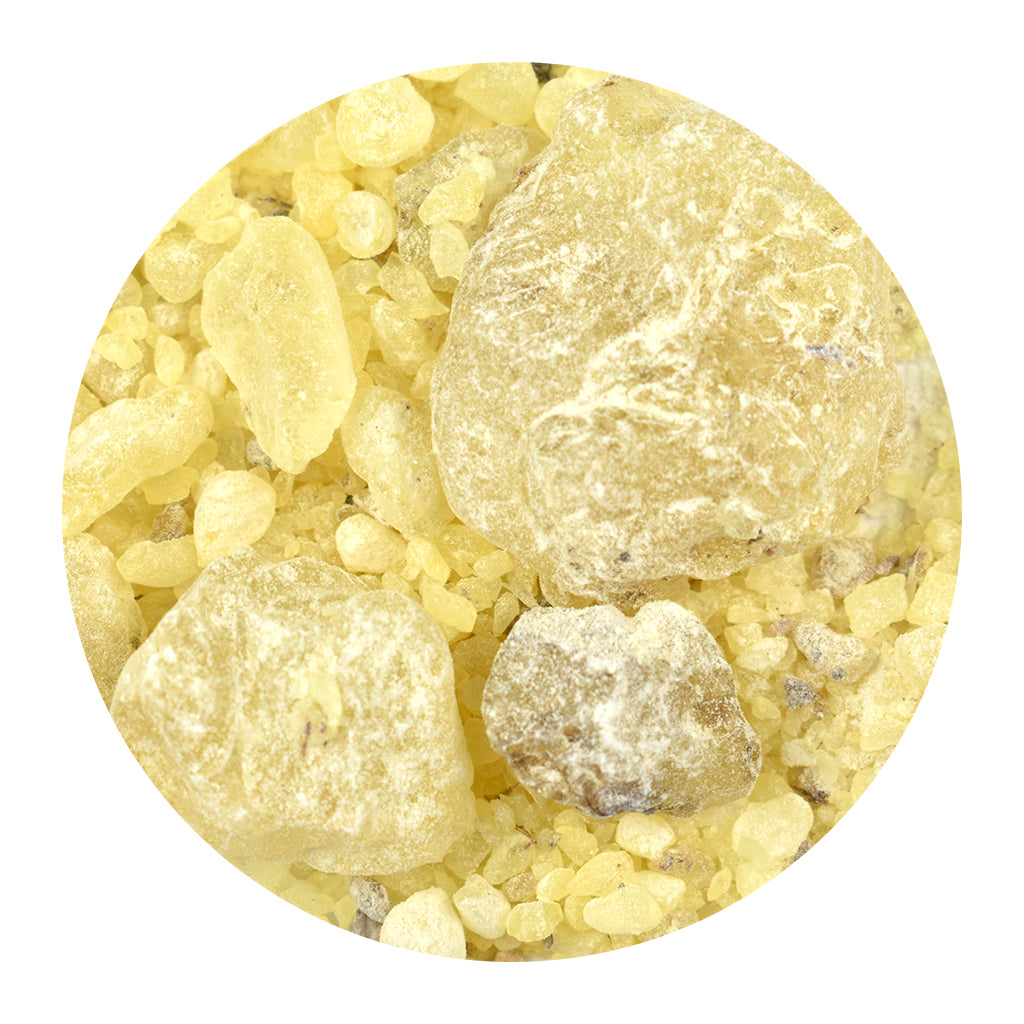 Bulk Copal Resin pieces