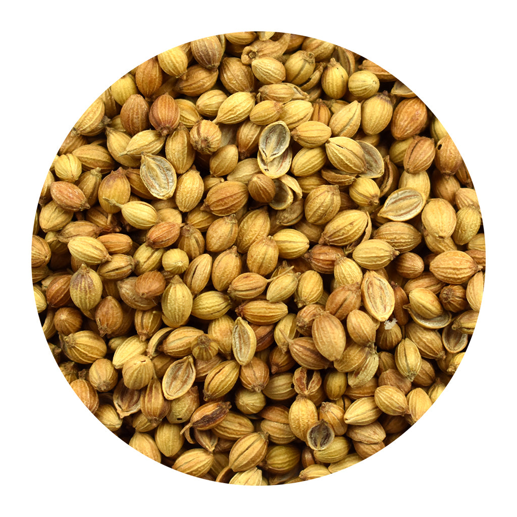 Bulk Organic Coriander Seed Spice