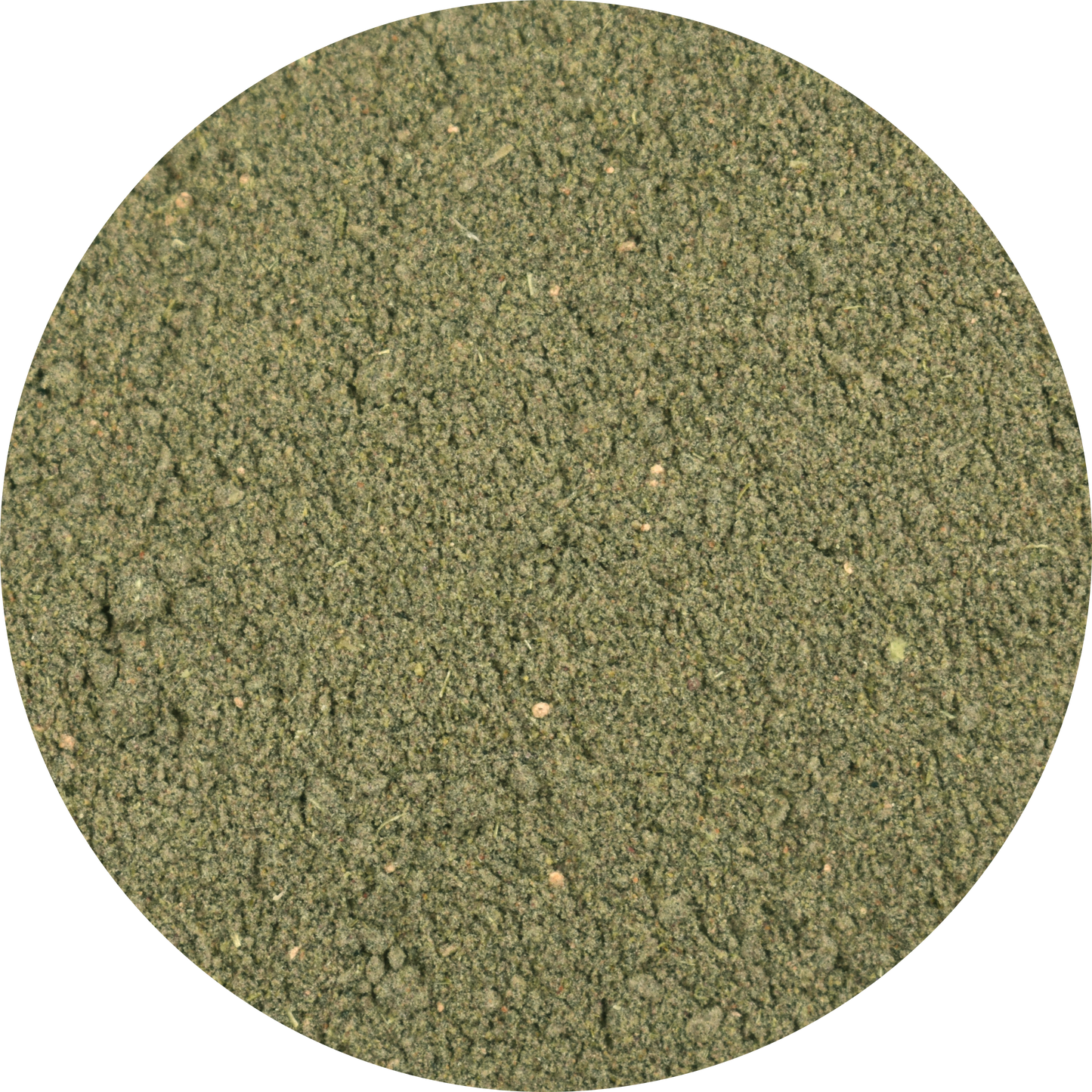 Bulk Daily Dose Green Shake Powder