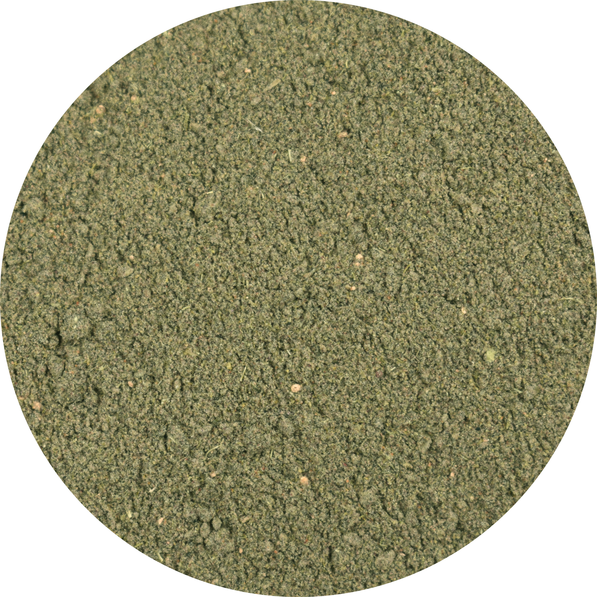 Bulk Daily Dose Green Shake Powder