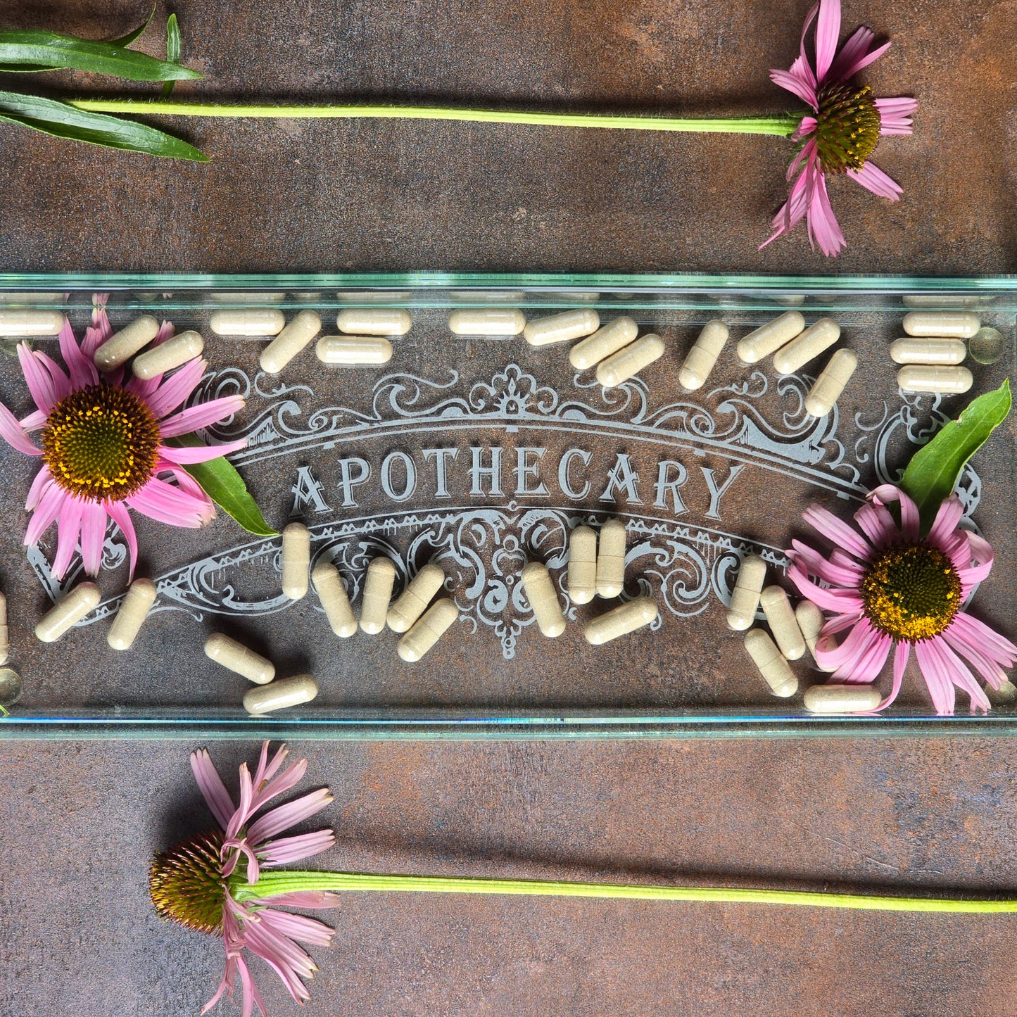 Echinacea Root Capsules surrounded by fresh echinacea flowers