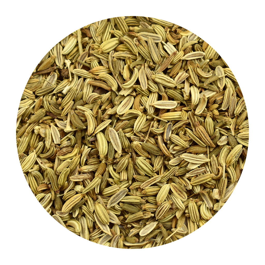 Bulk Organic Fennel Seeds Whole