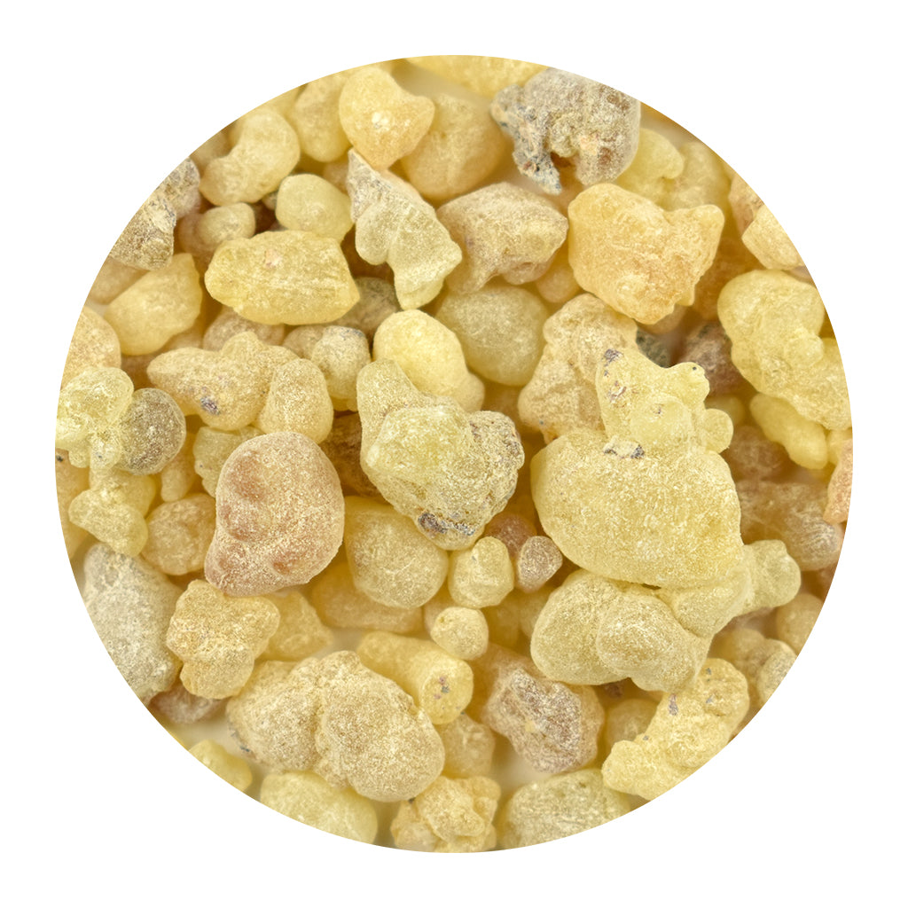 Bulk Frankincense resin pieces