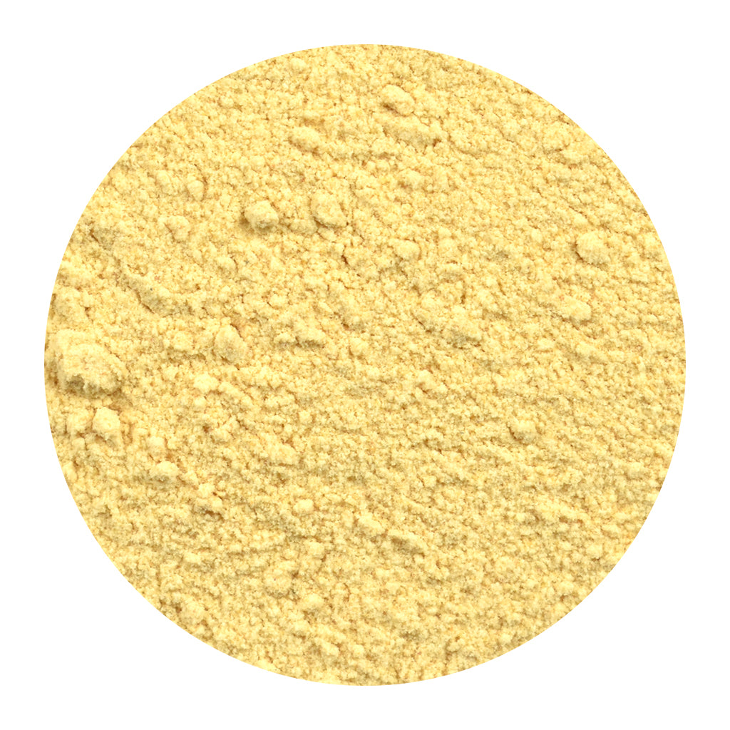 Bulk Organic Garlic Powder Spice