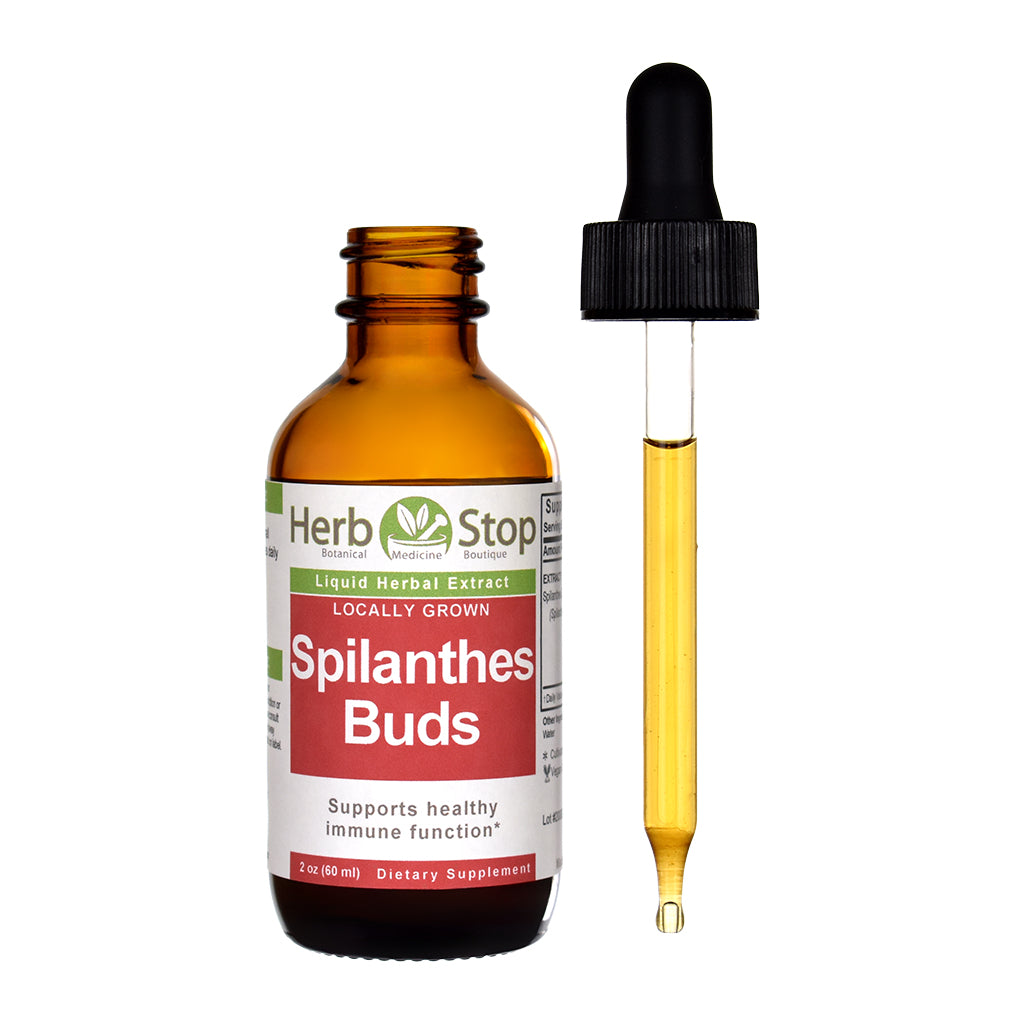 Locally Grown Spilanthes Liquid Extract 2 oz Bottle - Open