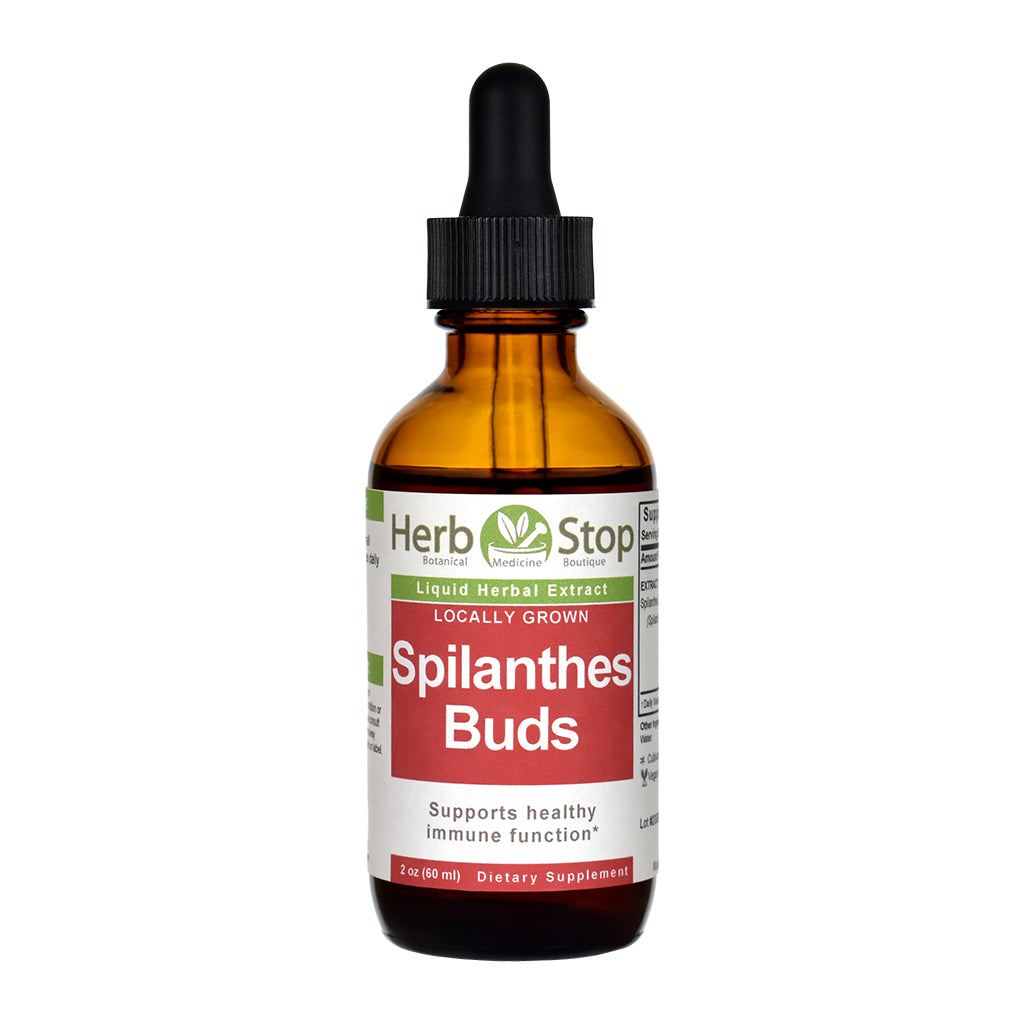 Locally Grown Spilanthes Liquid Extract 2 oz Bottle