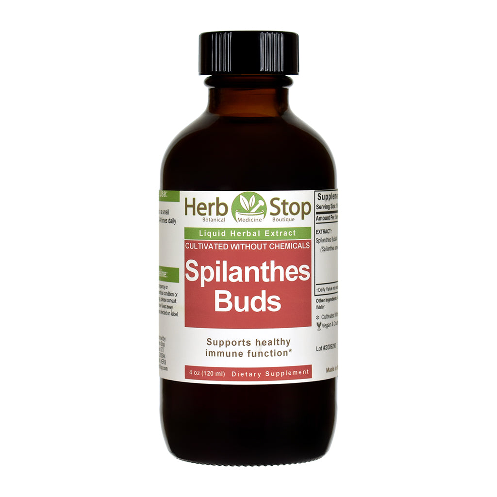 Locally Grown Spilanthes Liquid Extract 4 oz Bottle