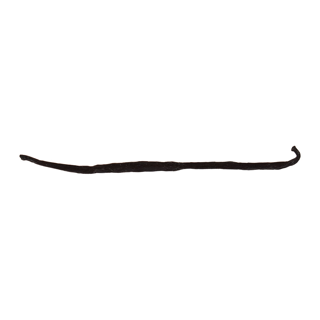 Bulk Organic Vanilla Bean from Madagascar