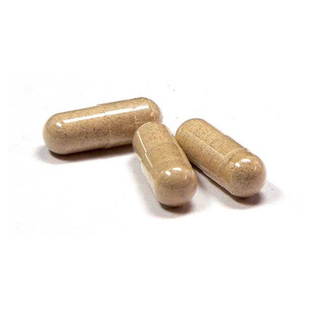 Echinacea Root Capsules
