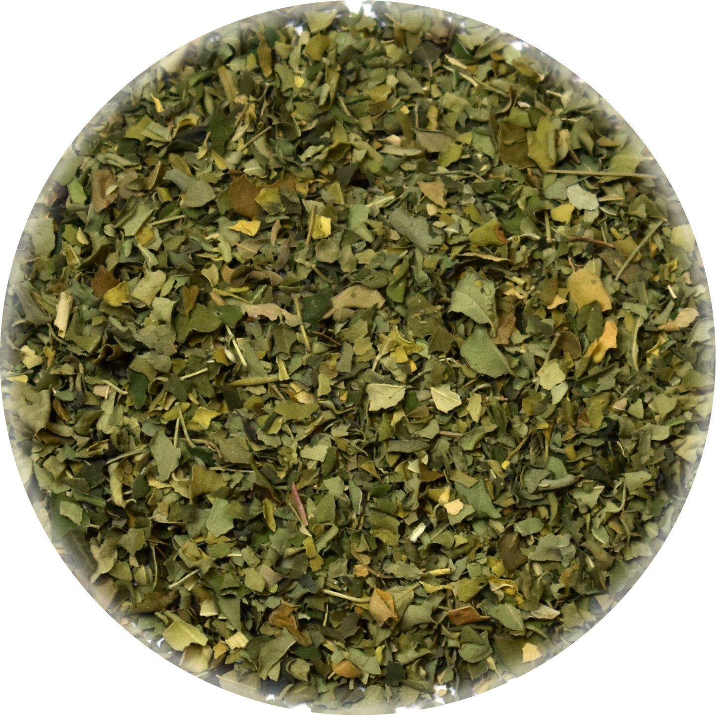 Bulk Moringa Leaf Loose Tea Tisane