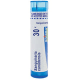 Sanguinaria canadensis 30c homeopathic remedy