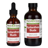 Spilanthes Buds Herbal Extract Bottles