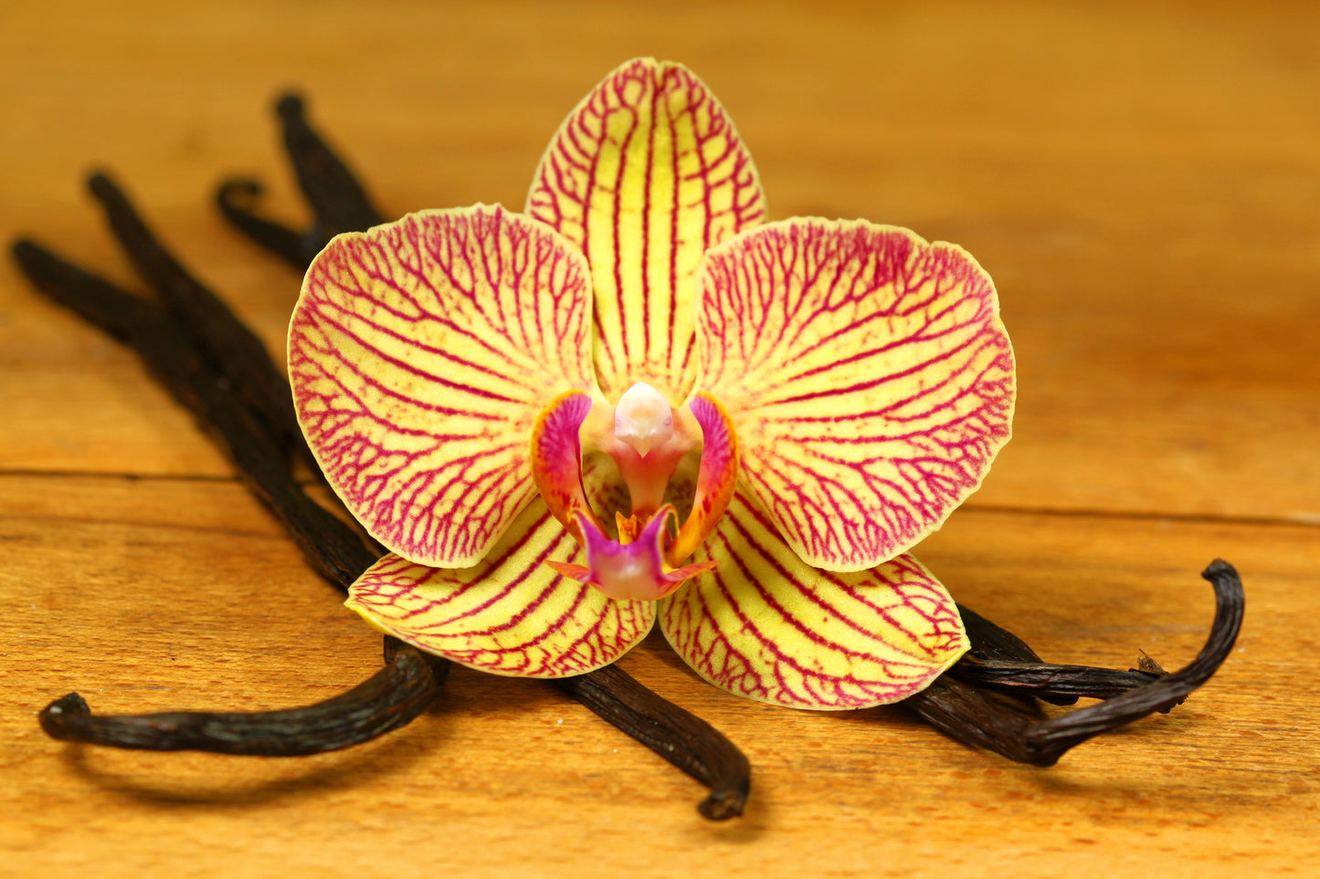 Vanilla Oleoresin Essential Oil