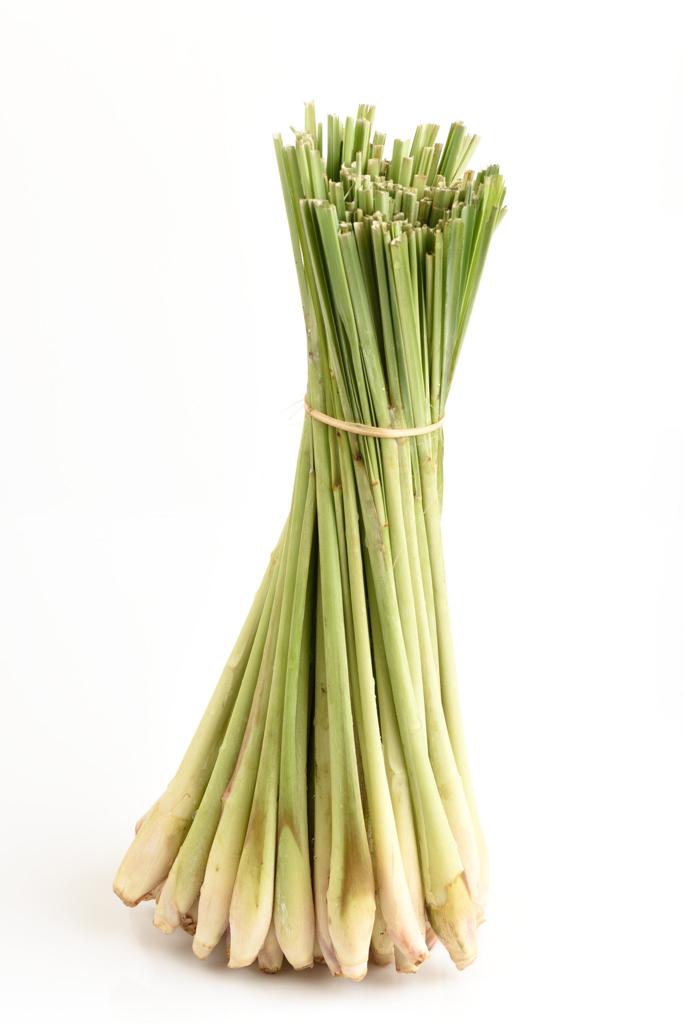 Lemongrass Essential Oil