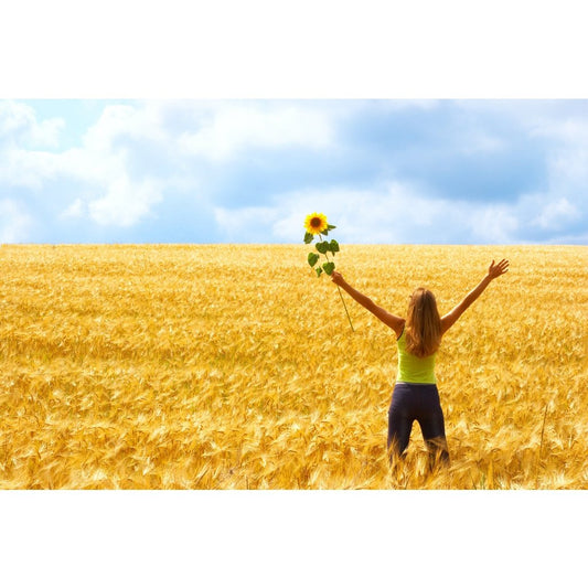 Gratitude Essential Oil Kit