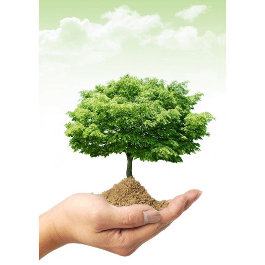 Earth Day Essential Oil Kit