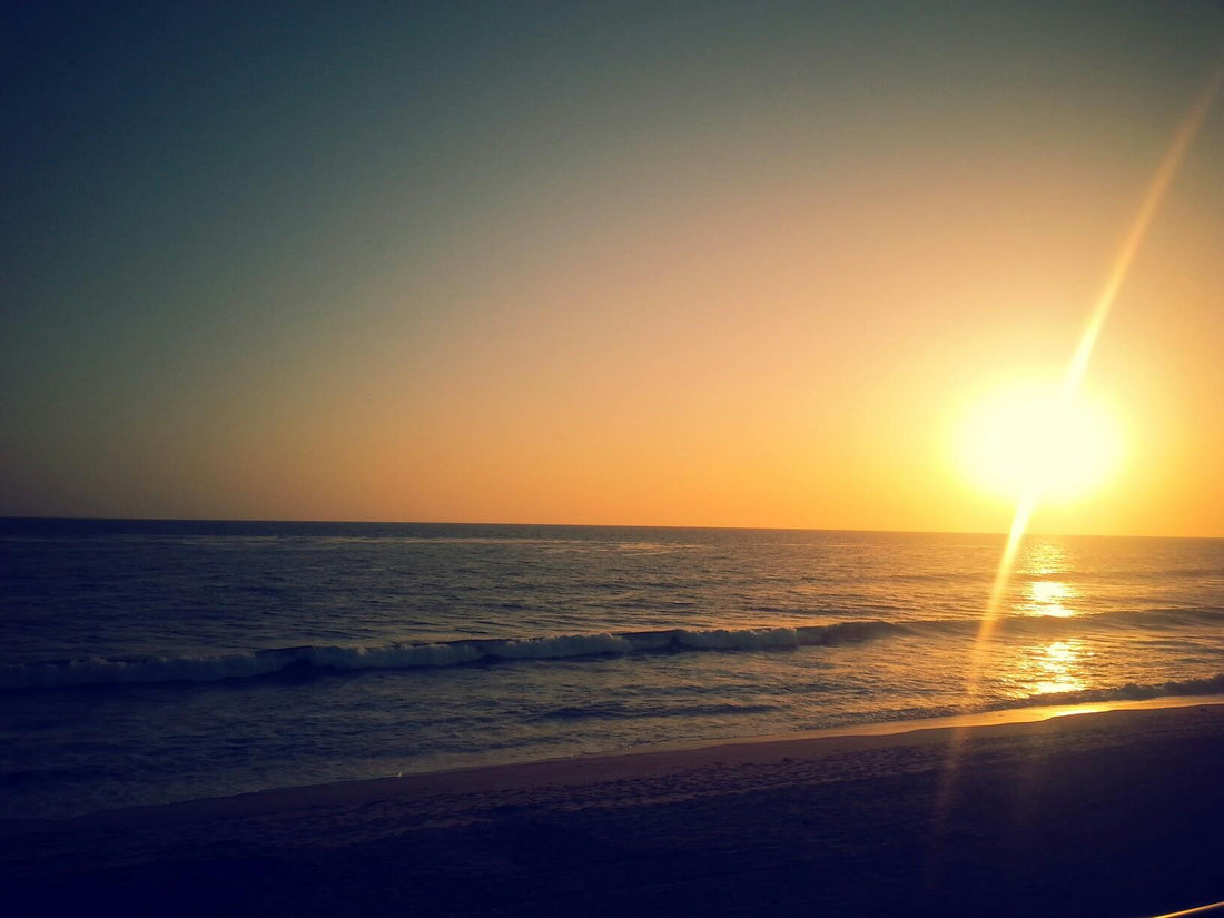 Relaxing ocean sunset while reading about adaptogen herbs for stress