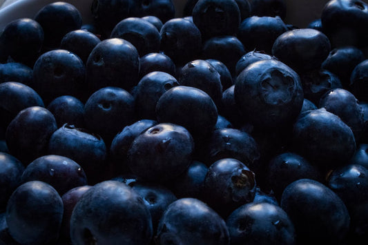 Close-up wild blueberries
