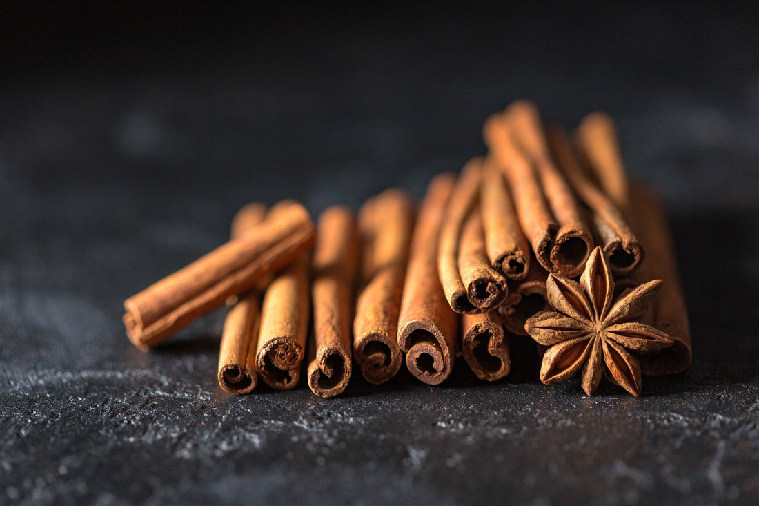 Cinnamon sticks on a dark background