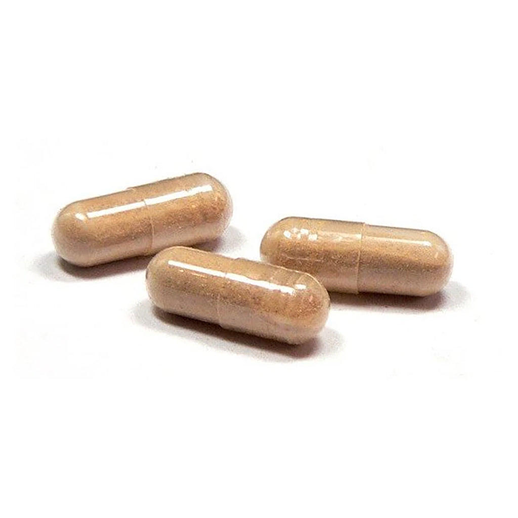 Organic mushroom powder supplement in vegan capsules