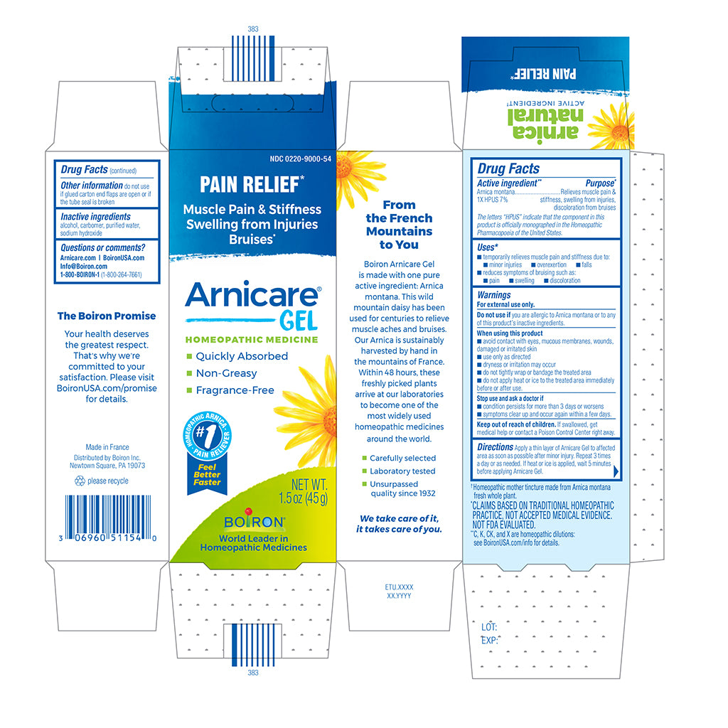 A flat printed box/package design for Arnicare Gel pain relief homeopathic medicine, shown as a cut-and-fold carton with front, back, and side panels visible on a plain white background.