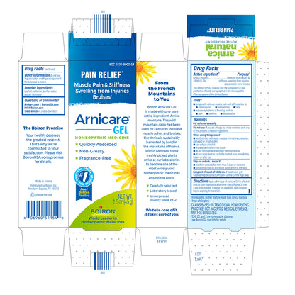 A flat printed box/package design for Arnicare Gel pain relief homeopathic medicine, shown as a cut-and-fold carton with front, back, and side panels visible on a plain white background.