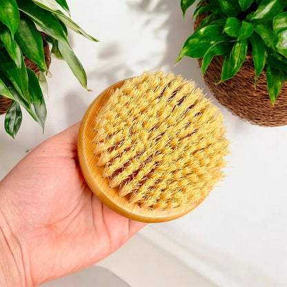 Hand holding a bamboo dry body brush with natural bristles against a light background with plants.