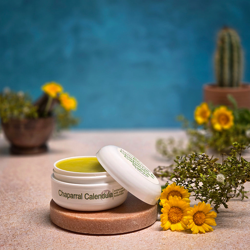 Chaparral Calendula Salve in a desert scene with calendula flowers and chaparral leaves