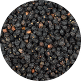 Bulk Organic Elder Berries