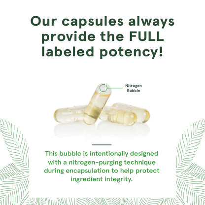 Capsules with a nitrogen bubble labeled on a white background with green text.