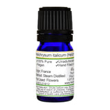 Helichrysum Essential Oil - Back