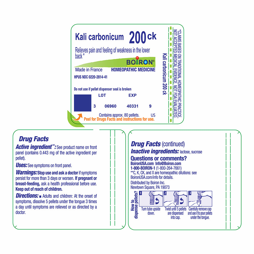 Boiron Kali carbonicum 200ck homeopathic medicine packaging insert card with drug facts and directions printed in blue and green text on a white background.