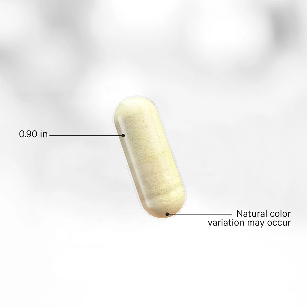 Methylated Multivitamin Capsule with measurement label and text on a light gray background