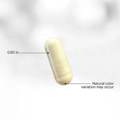 Methylated Multivitamin Capsule with measurement label and text on a light gray background