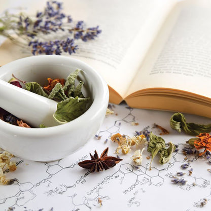 Mortar and pestle with dried herbs on a table with an open book and botanical diagram.