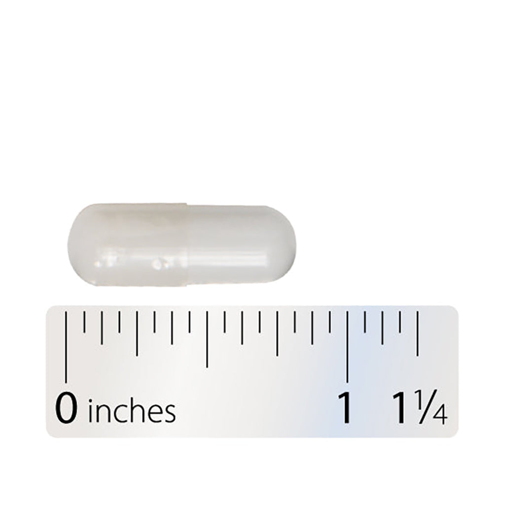 A Integrative Therapeutics NAC capsule shown above a white ruler marked in inches for size reference, on a plain white background.