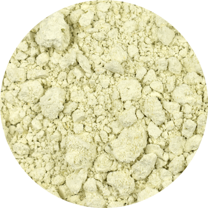 Bulk Organic Pumpkin Seed Protein