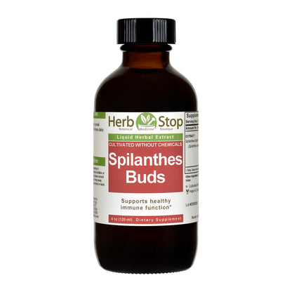 Locally Grown Spilanthes Liquid Extract 4 oz Bottle