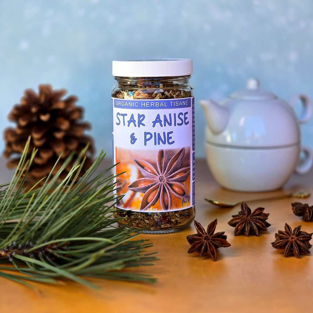 Jar of star anise and pine herbal tisane with star anise and pine branches on a wooden surface.