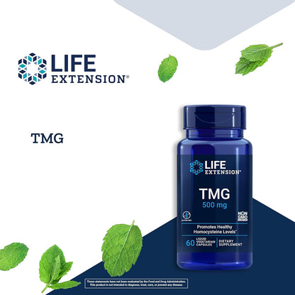 Life Extension TMG supplement bottle with green leaves on a white and blue gradient background