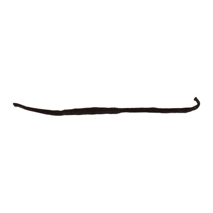 Bulk Organic Vanilla Bean from Madagascar 