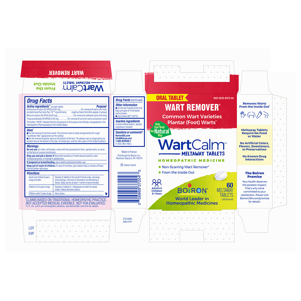 A flat, unfolded cardboard box package for WartCalm Meltaway Oral Tablet common wart and plantar foot warts homeopathic medicine, shown from multiple sides on a plain white background.