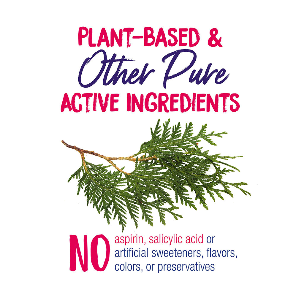 A white square graphic with text reading 'PLANT-BASED & Other Pure ACTIVE INGREDIENTS' and 'NO aspirin, salicylic acid or artificial sweeteners, flavors, colors, or preservatives,' plus a green thuja evergreen branch illustration.